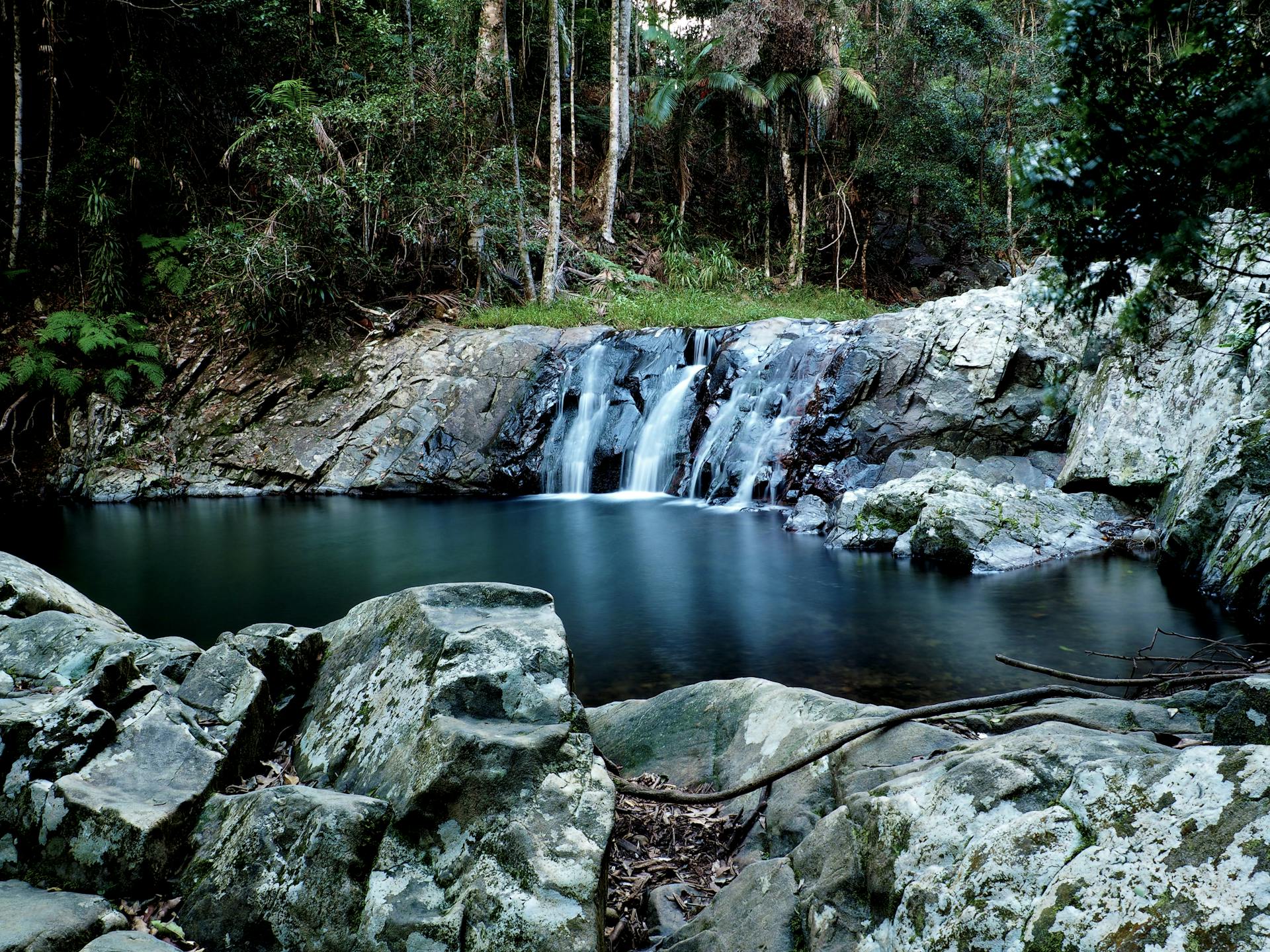Tranquil waterfall flowing into a forest creek surrounded by lush greenery and mossy rocks.