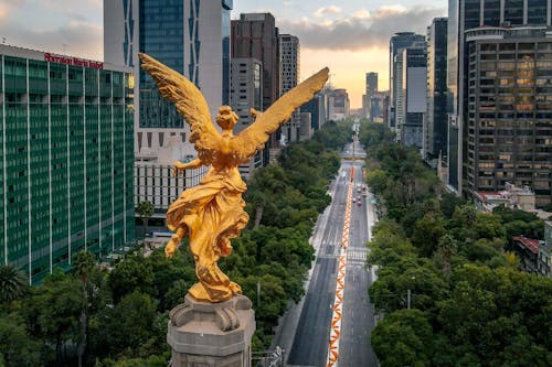 paseo de la reforma, 건물, 건축의 무료 스톡 사진