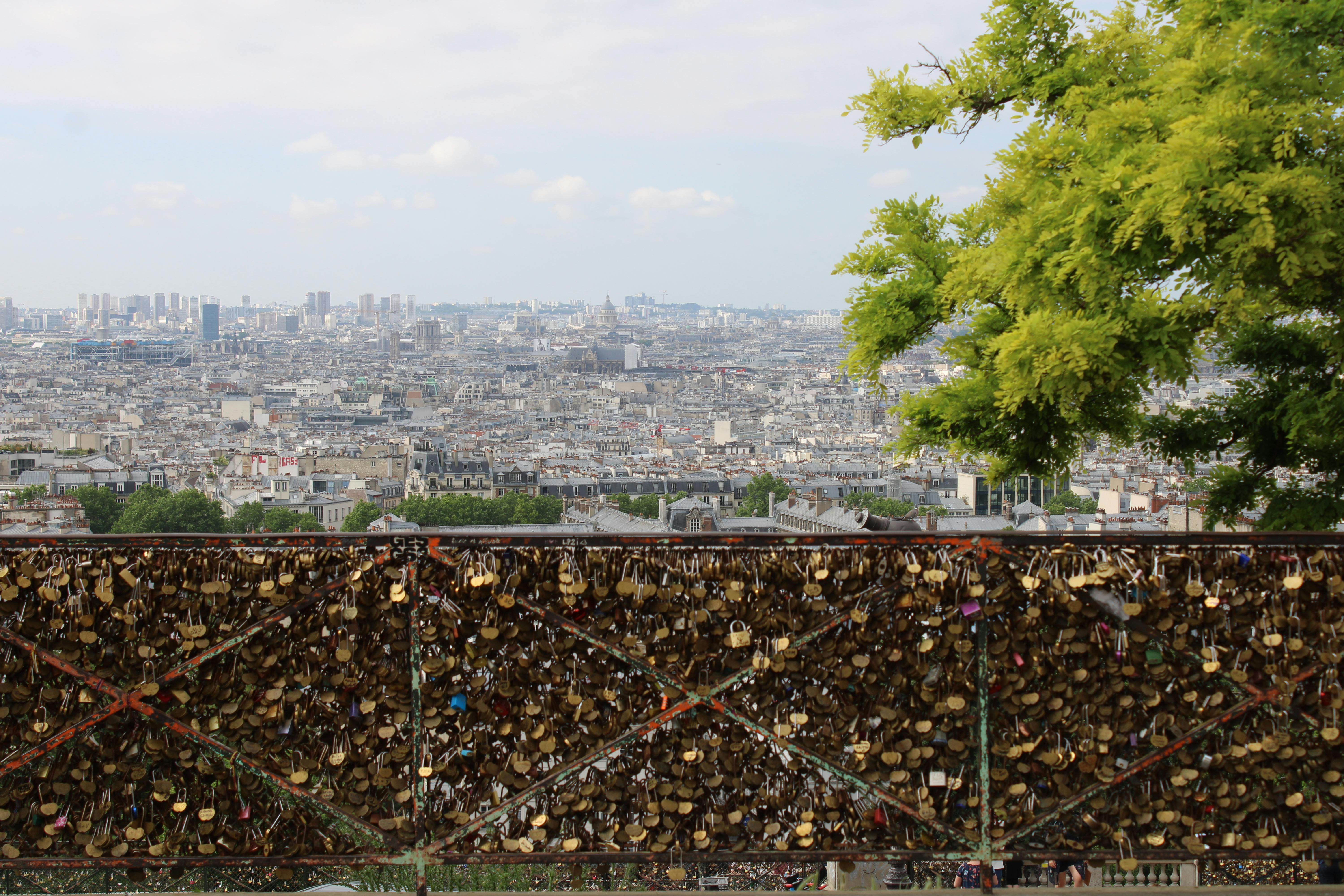 padlocks on fence