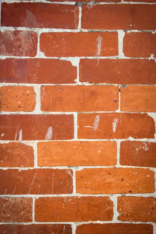 Photo of a Brick Wall