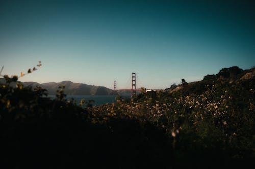 Free Golden Gate Bridge an sunset Stock Photo