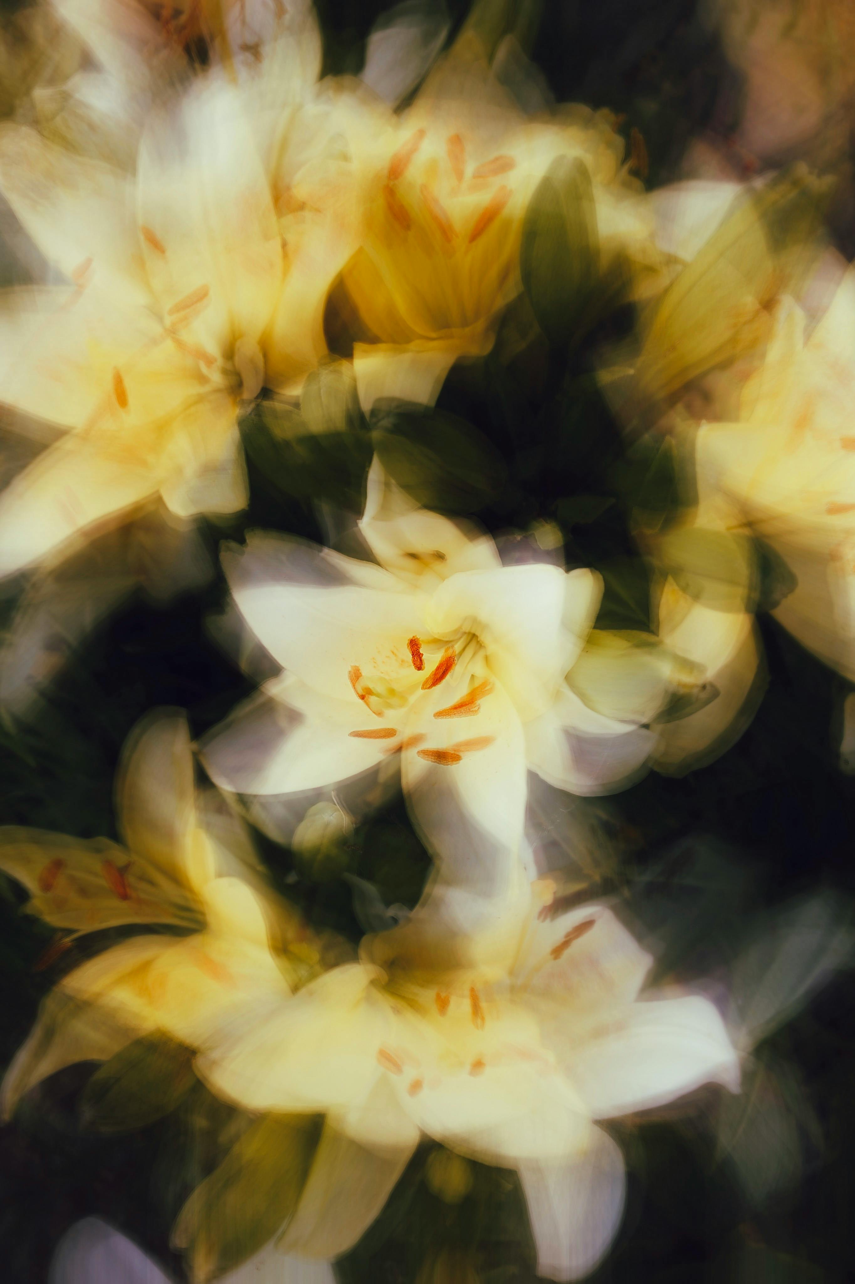 Soft-focus image of yellow lilies blending into an abstract floral art piece.