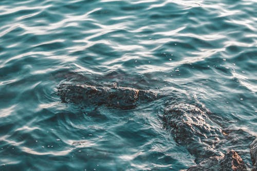 Free stock photo of sea, water