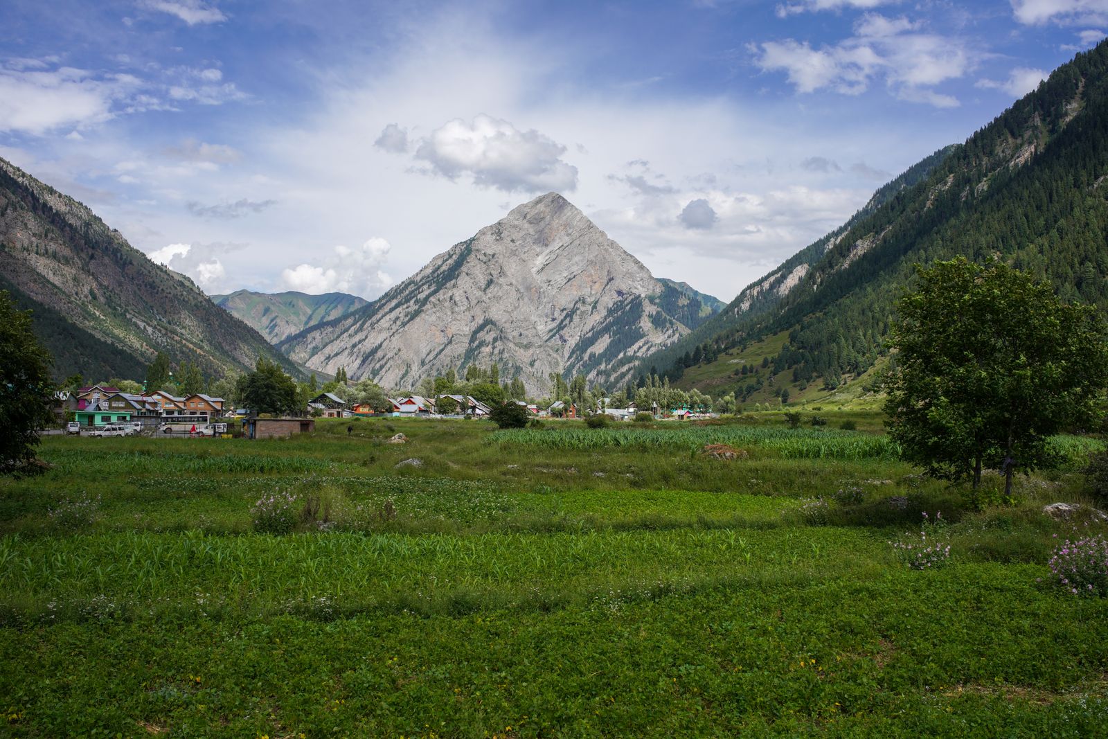 Mountain landscape with snow peaks