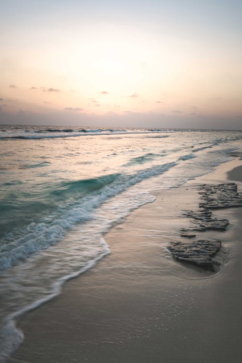 Photo of Waves on a Seashore