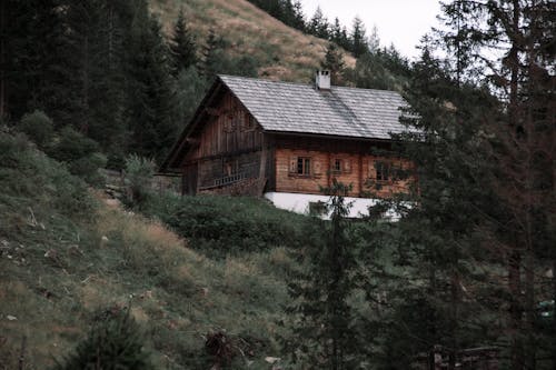 Kostnadsfri bild av berg, gräsfält, gröna träd