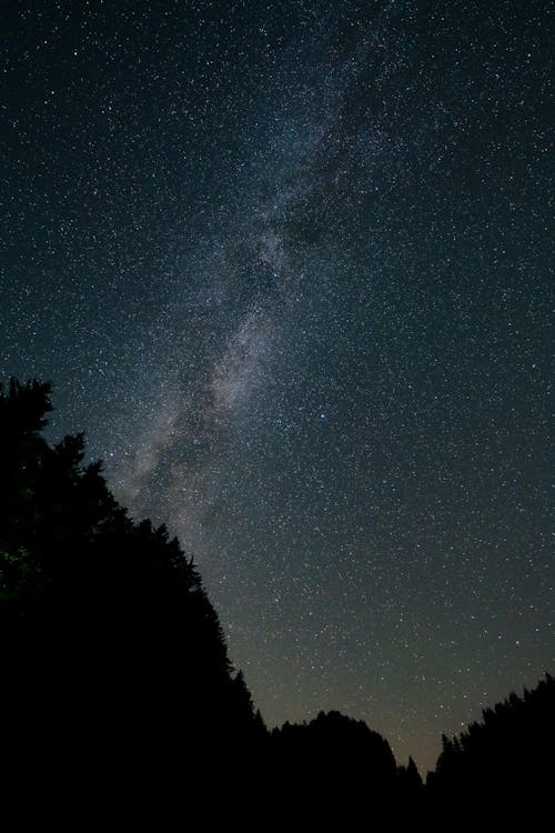 Milky Way Galaxy in the Night Sky 