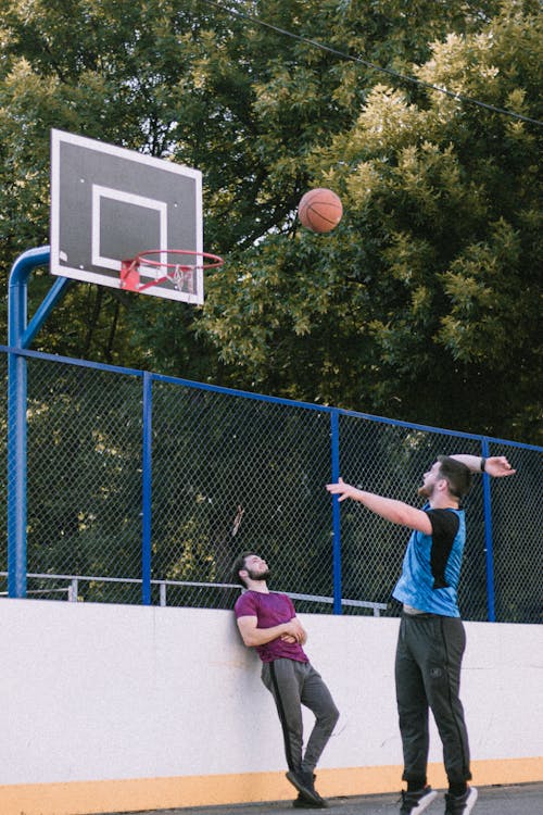 Foto profissional grátis de anel, anel de basquete, basquete