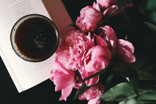 Rosa Blumen Neben Tasse Auf Buch