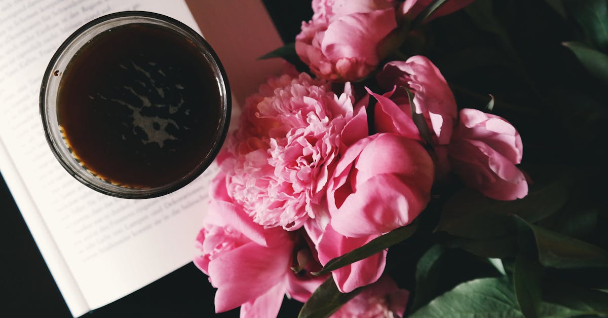 Pink Flowers Beside Cup on Book