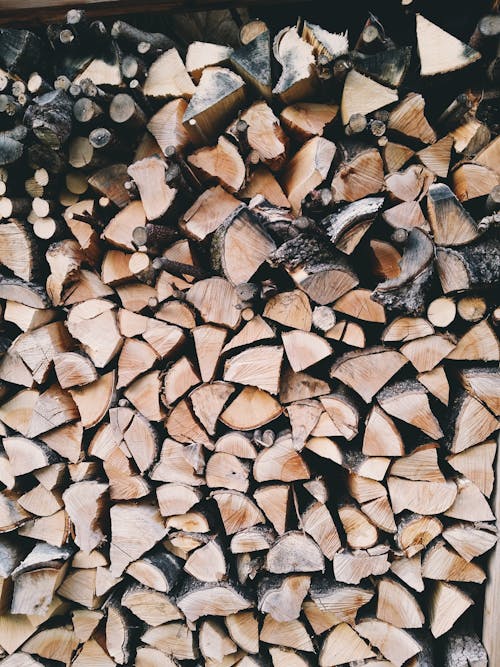 Free Brown and Grey Fire Wood Stock Photo