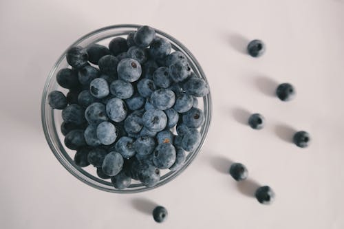 Free Blueberry Lot Stock Photo