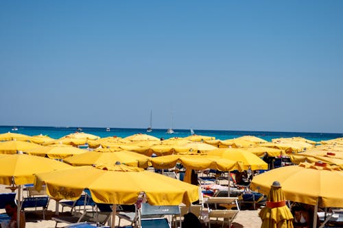Yellow Beach Umbrellas on Shore