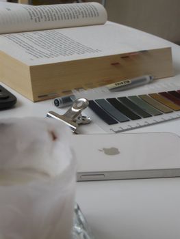 Neatly arranged desk featuring an open book, smartphone, and color swatches for a productive environment.
