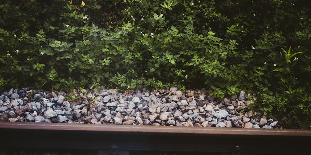 Khám Phá Thế Giới Đam Mê - ưu đãi 789bet Nơi Kết Nối Những Tâm Hồn Đồng Điệu