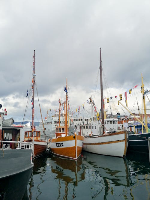 Fotobanka s bezplatnými fotkami na tému bergen, člny, dopravný systém