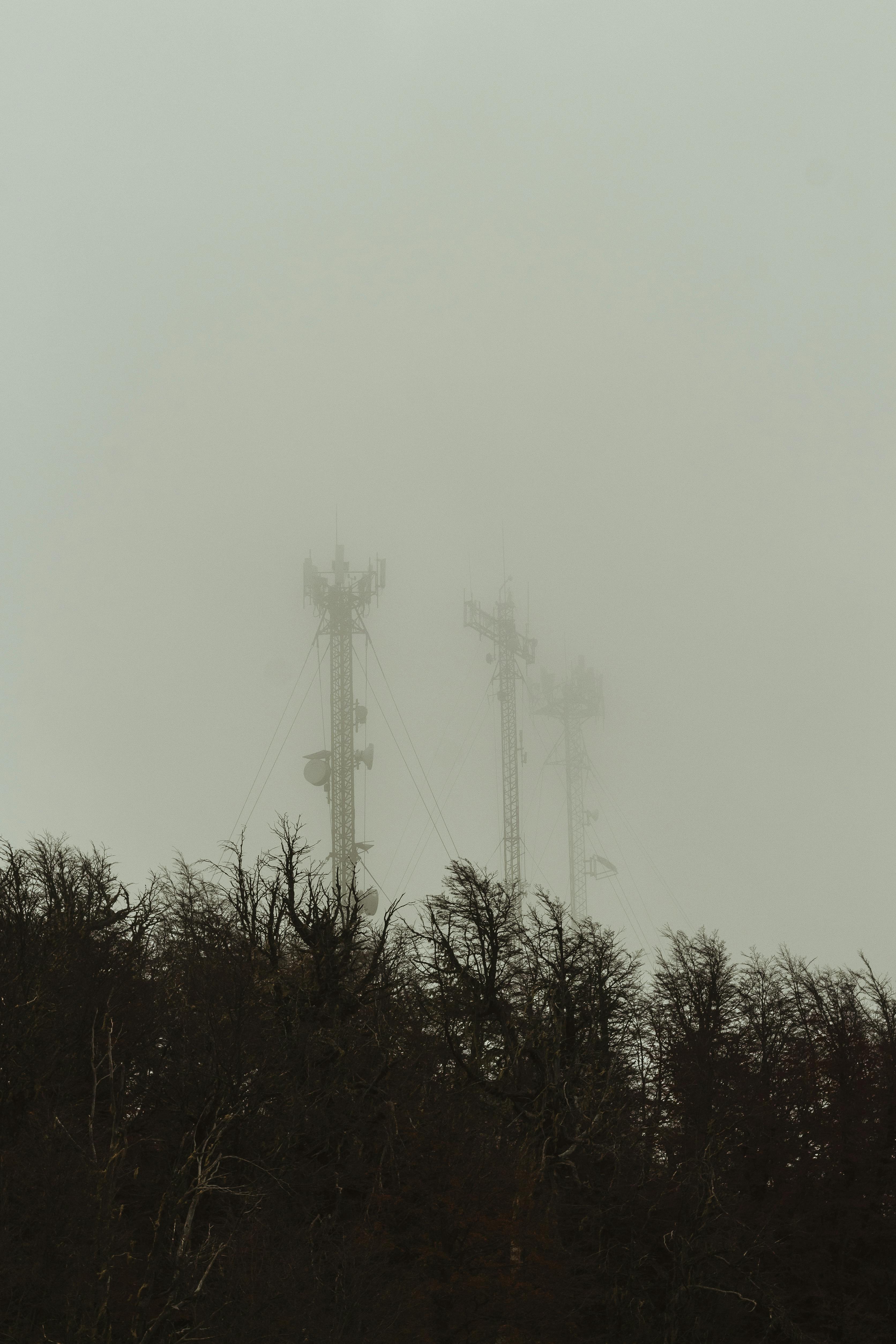 Communication towers shrouded in mist overleafless trees in Bariloche, Argentina.