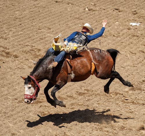 Photo of a Cowboy Riding a Horse