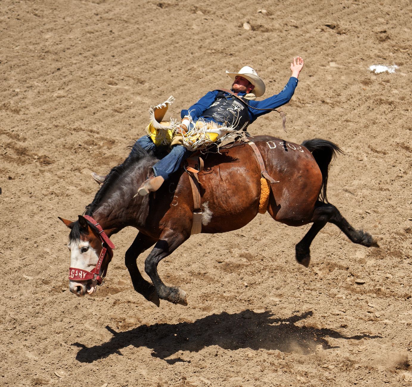 Calgary Stampede 2026: A First-Timer’s Practical Guide to Parade Day, Rodeo Nights, and Getting Around the City