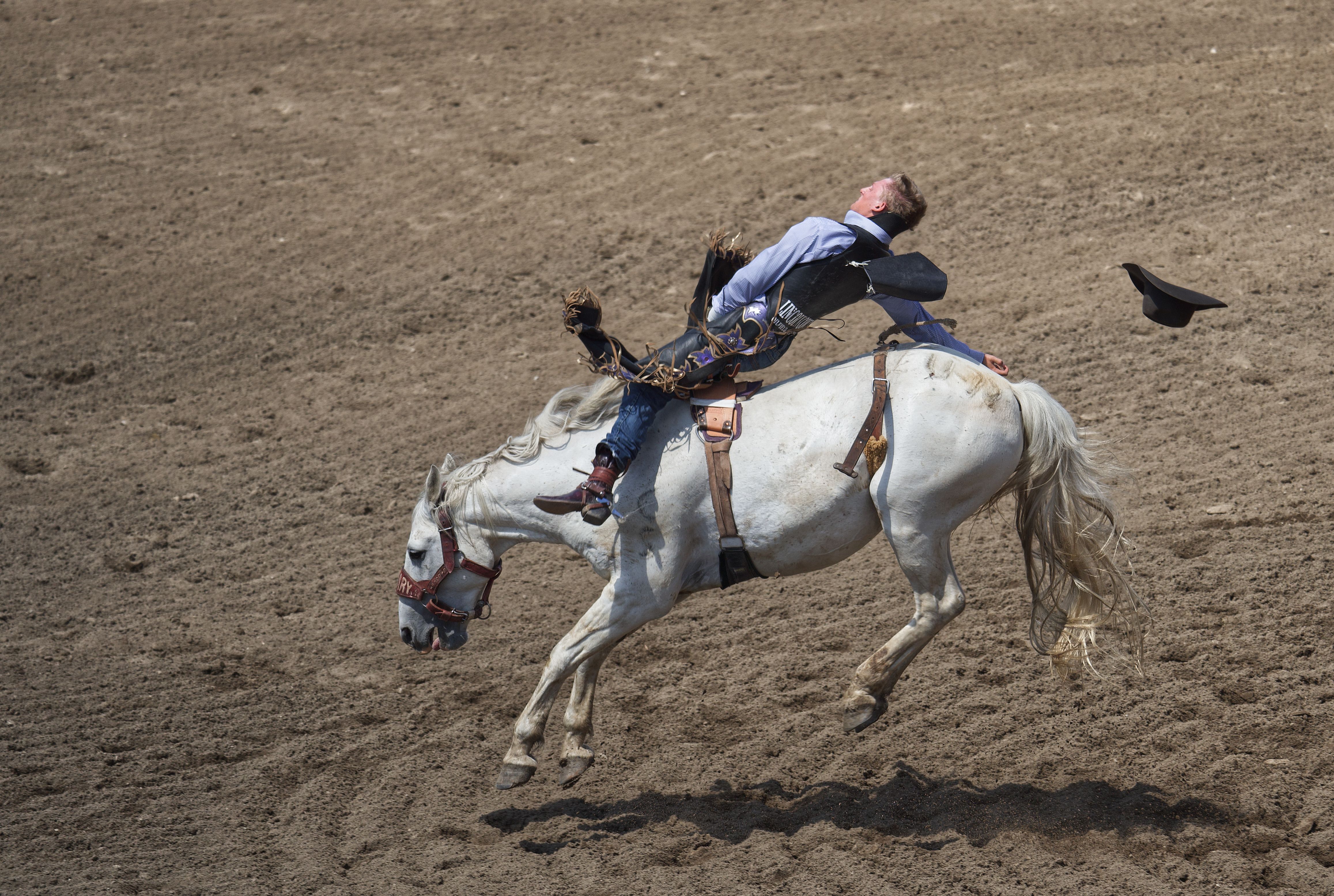 Cowboy Riding on a Horse · Free Stock Photo