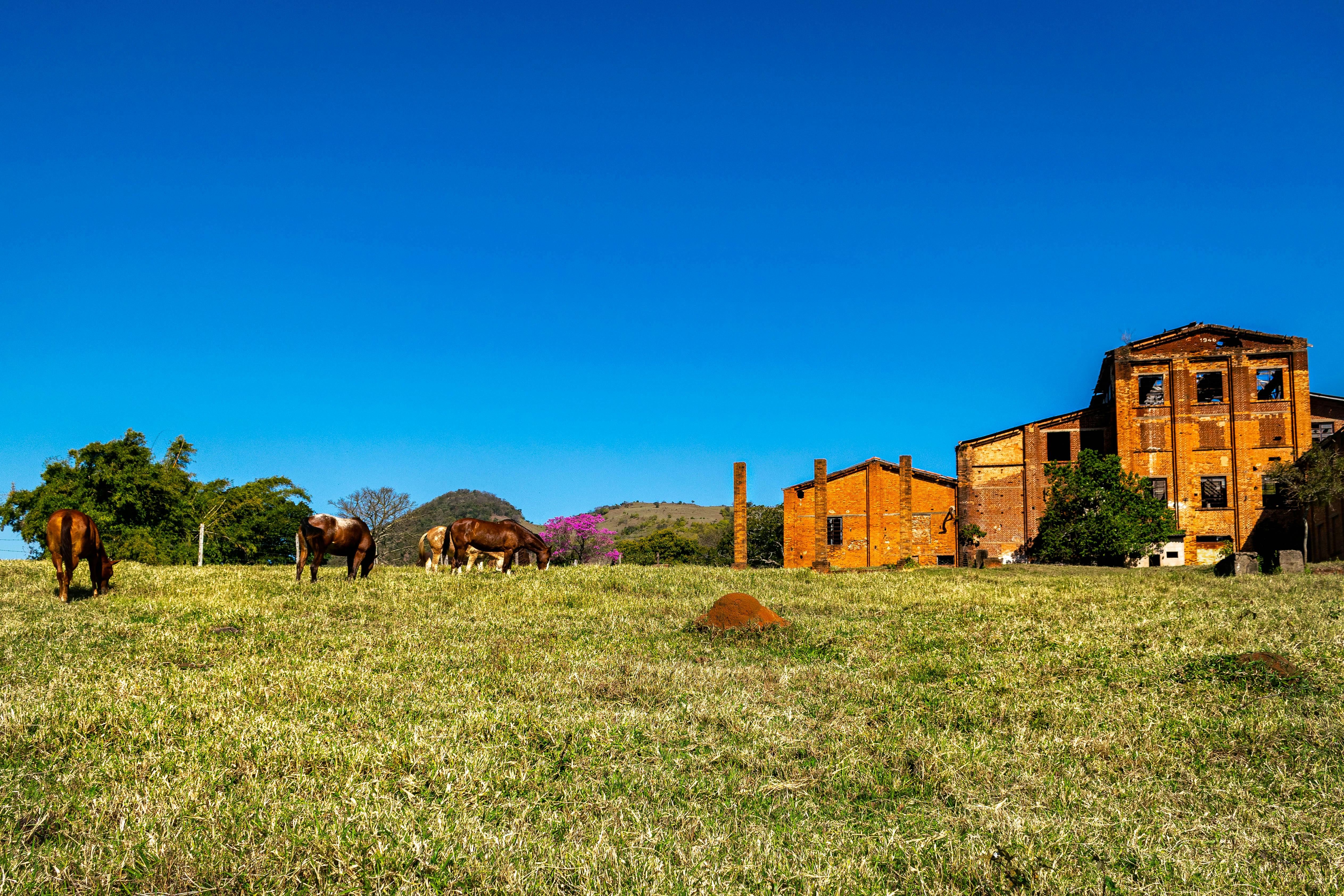 How do I start flipping houses with no money?