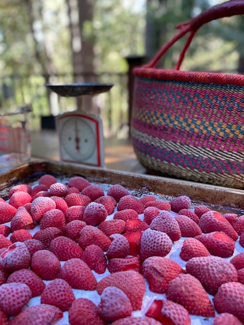 Free stock photo of canning, homesteading, strawberries Stock Photo