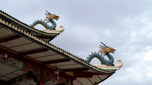 Free stock photo of dragon, philippines, taoist temple