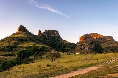 Foto d'estoc gratuïta de arbres, atracció turística, brasil