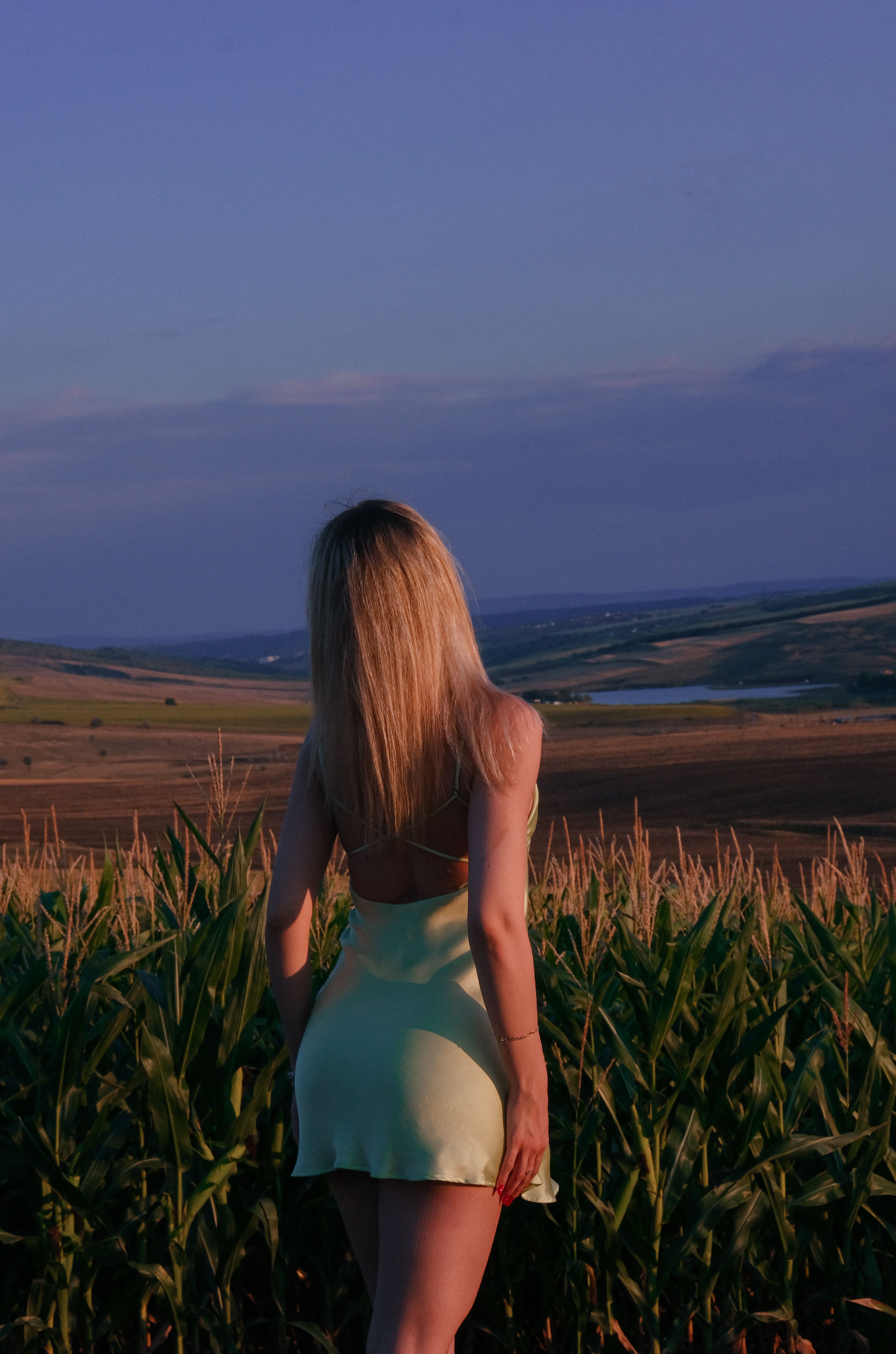A woman stands in a green summer dress, gazing over a vast field at twilight, capturing a serene and contemplative moment.