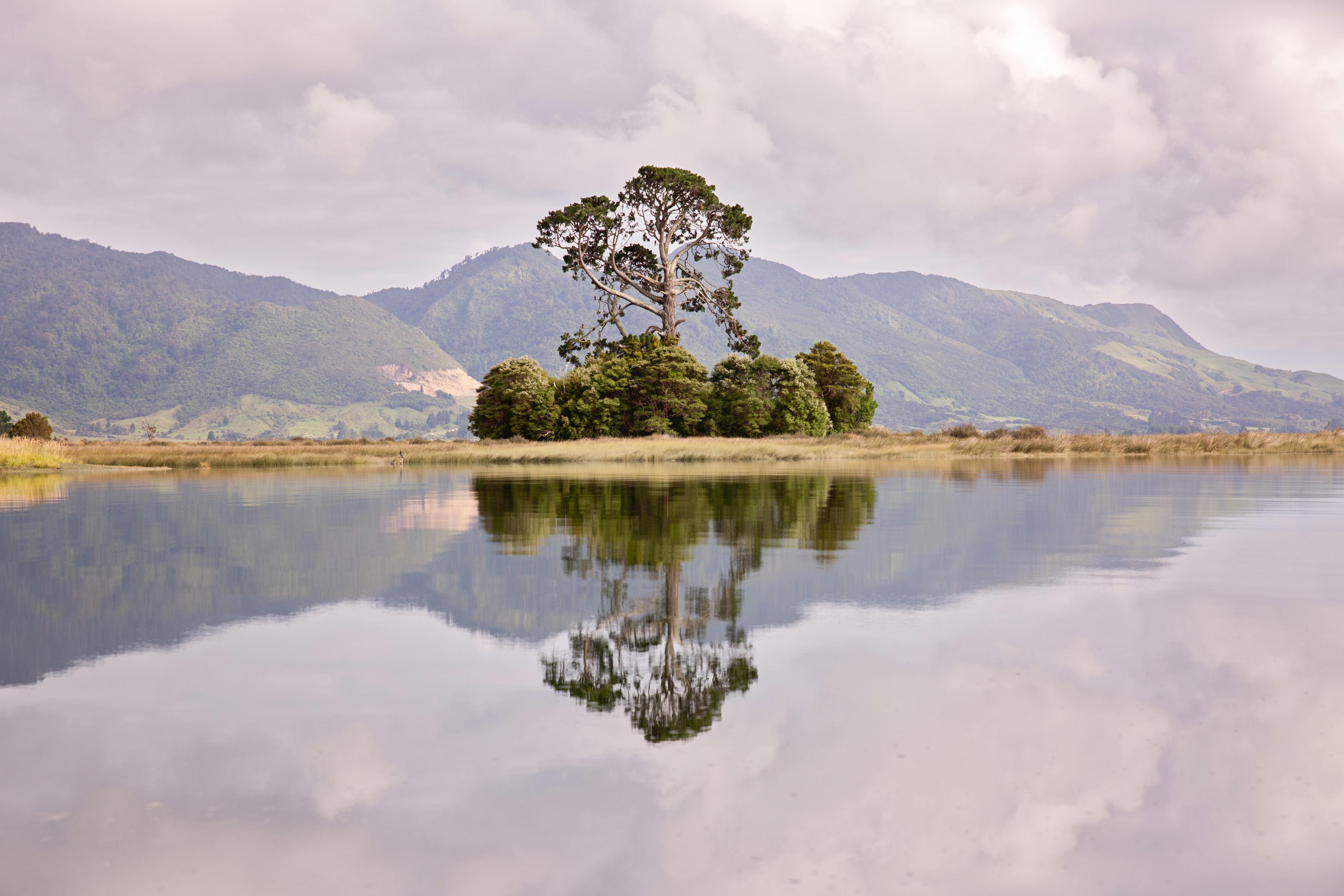 free-stock-photo-from-nathan-pexels