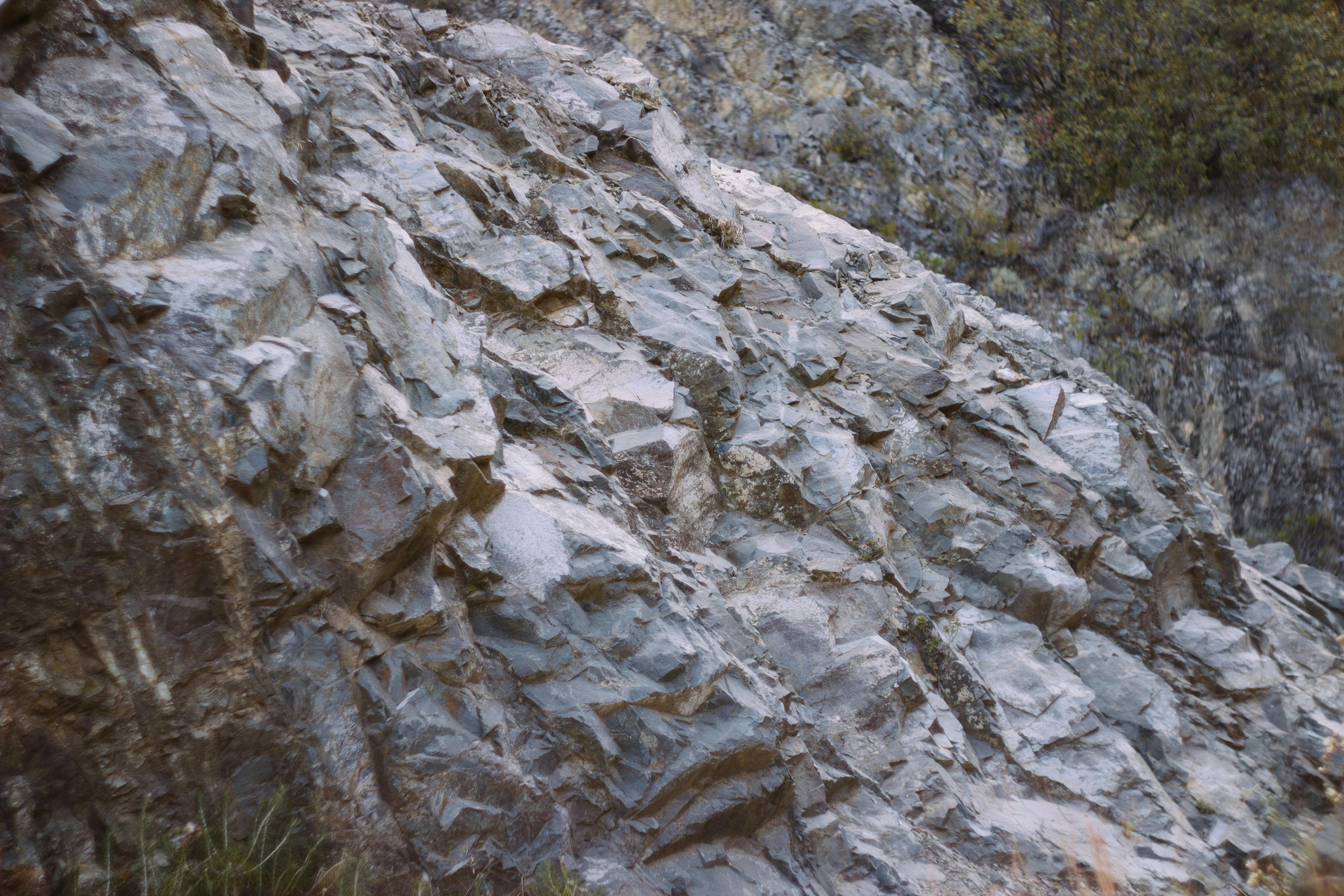 生化危机4重制版