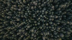 在这张无人机拍摄的画面中，探索从上方俯瞰茂密森林的复杂图案