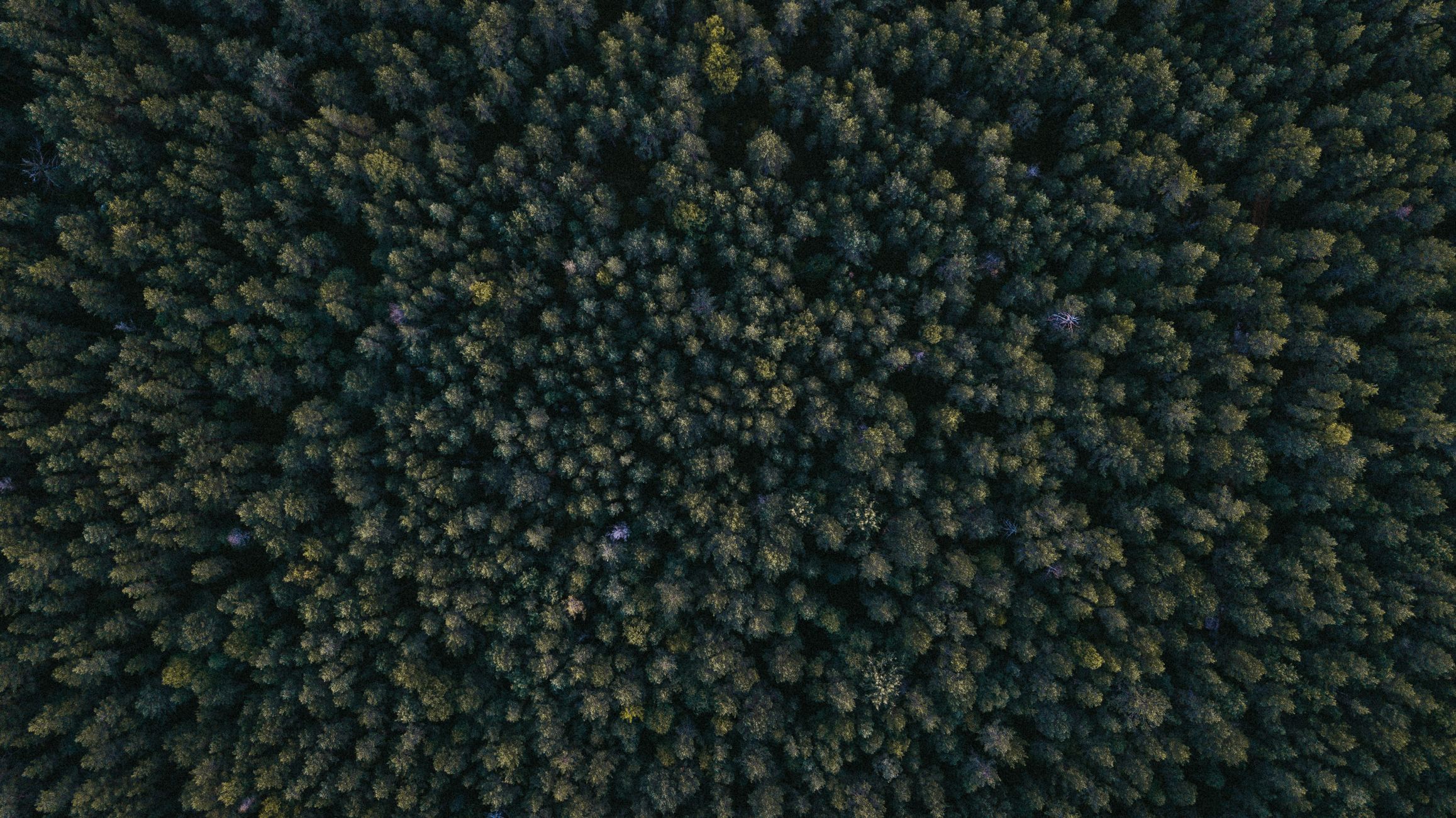 Doğa