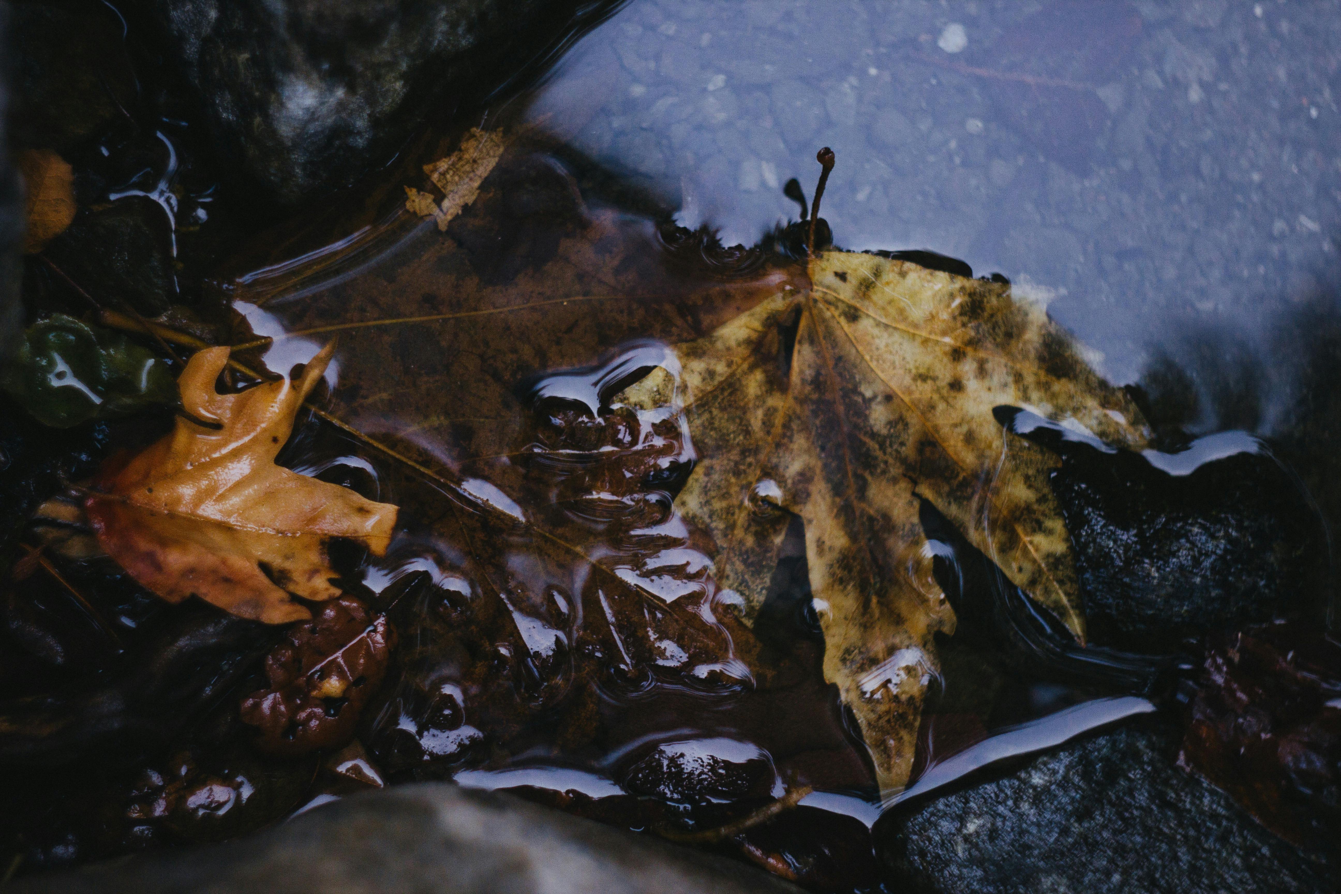 Lincoln Memorial in Washington D.C.