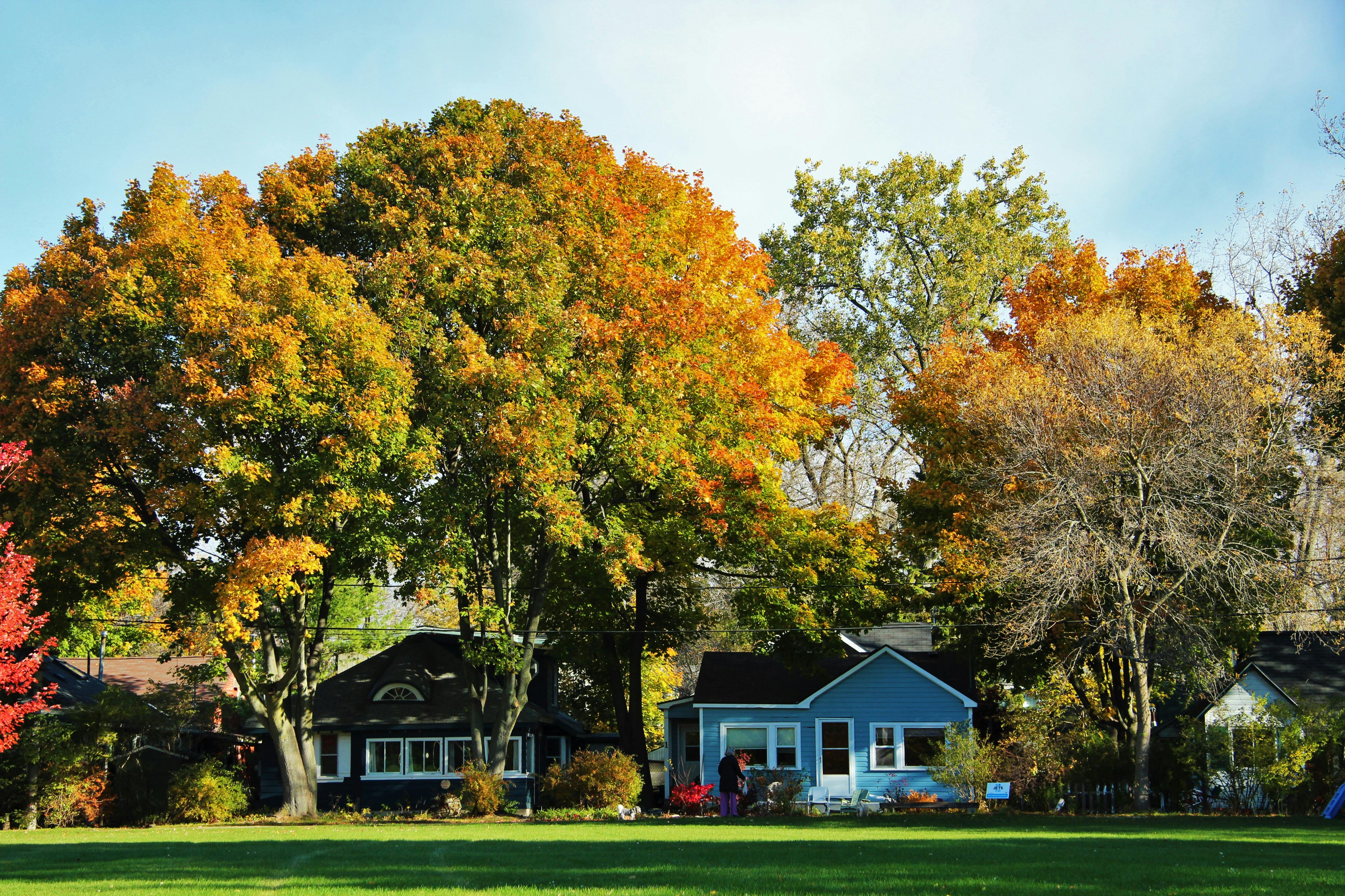 Free stock photo of autumn, suburb, suburban