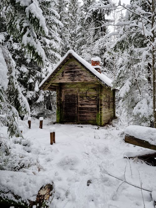 A Wooden Cabin in a Forest during Winter