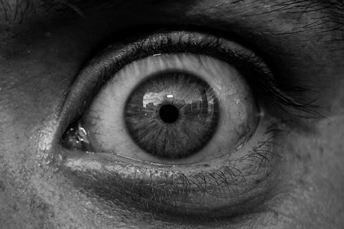 Free Grayscale Photo of Human Eye Stock Photo