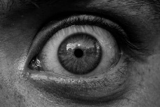 Detailed black and white macro shot highlighting the intricacies of a human eye with reflections in the iris.