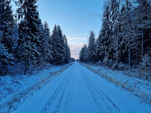 A Snow Covered Road during Winter