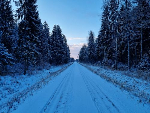Free A tranquil snow-covered road flanked by lush evergreen trees in Estonia's winter landscape. Stock Photo