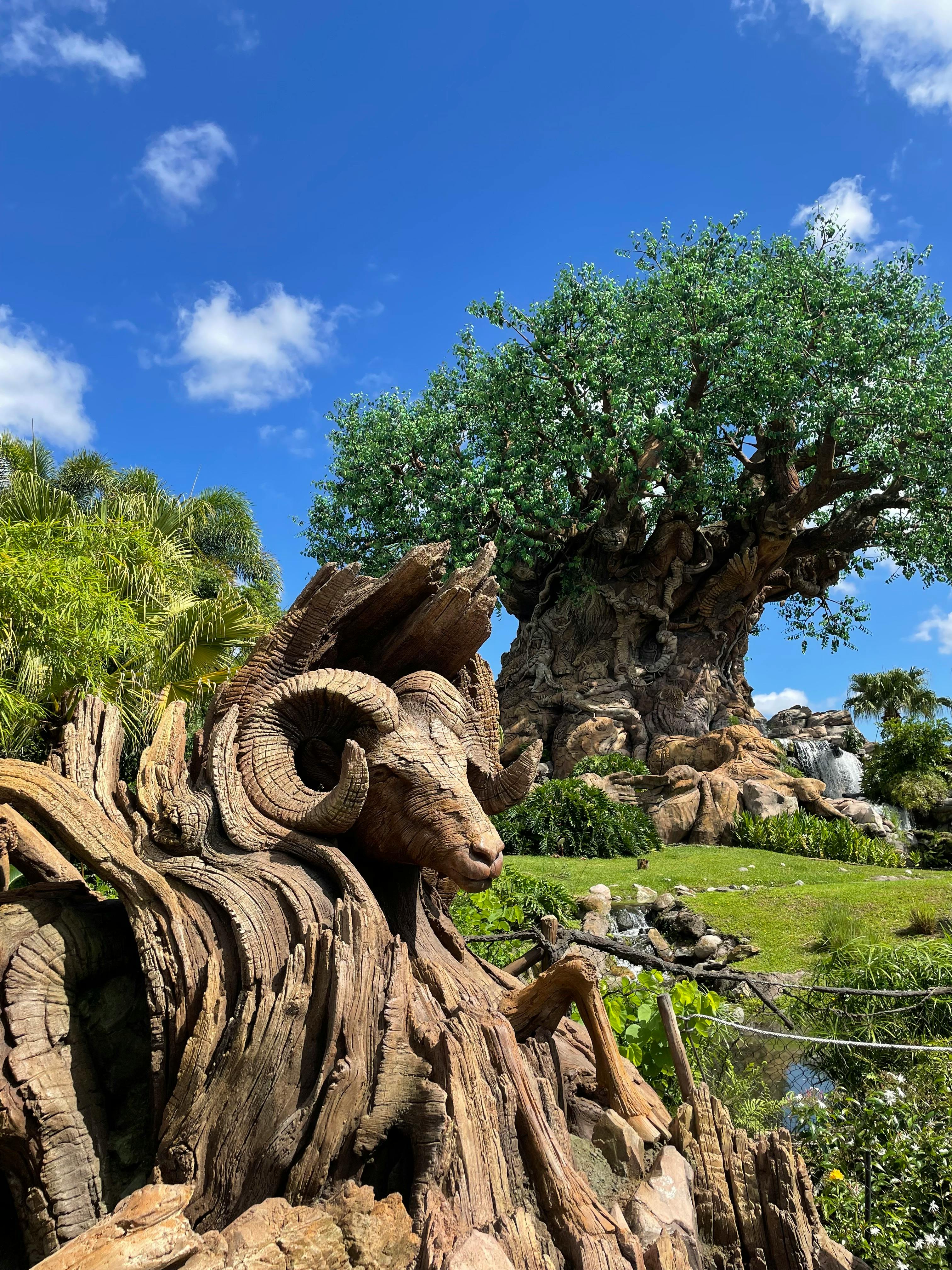 The Tree of Life at Walt Disney World Resort, Florida, USA · Free Stock