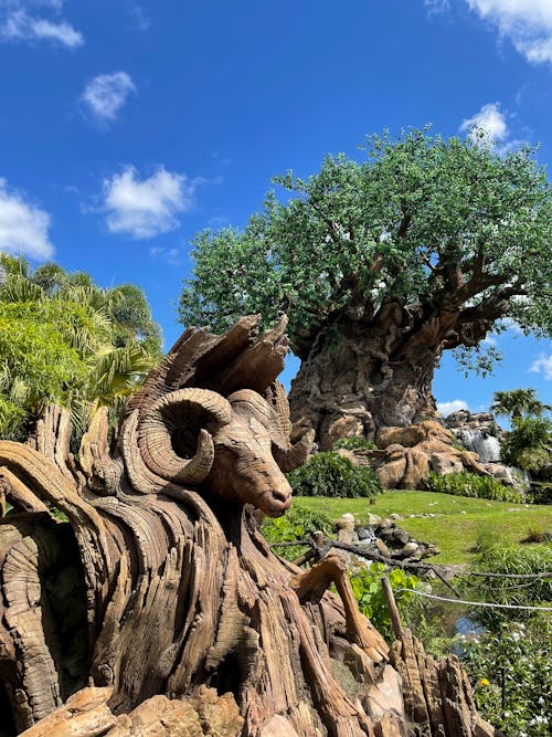 Free The Tree of Life at Walt Disney World Resort, Florida, USA Stock Photo