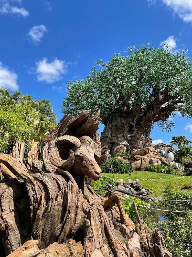 The Tree Of Life At Walt Disney World Resort, Florida, USA