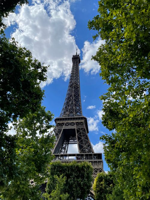 Free Low angle shot of the Eiffel Tower framed by green trees against a blue sky. Stock Photo