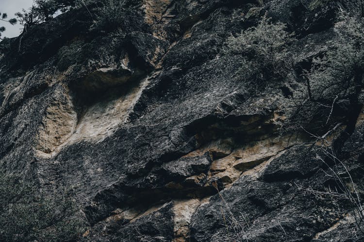 Close-up Of A Cliff Surface 