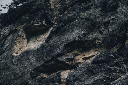 Free Close-up of a rocky cliff displaying geological formations and natural vegetation. Stock Photo