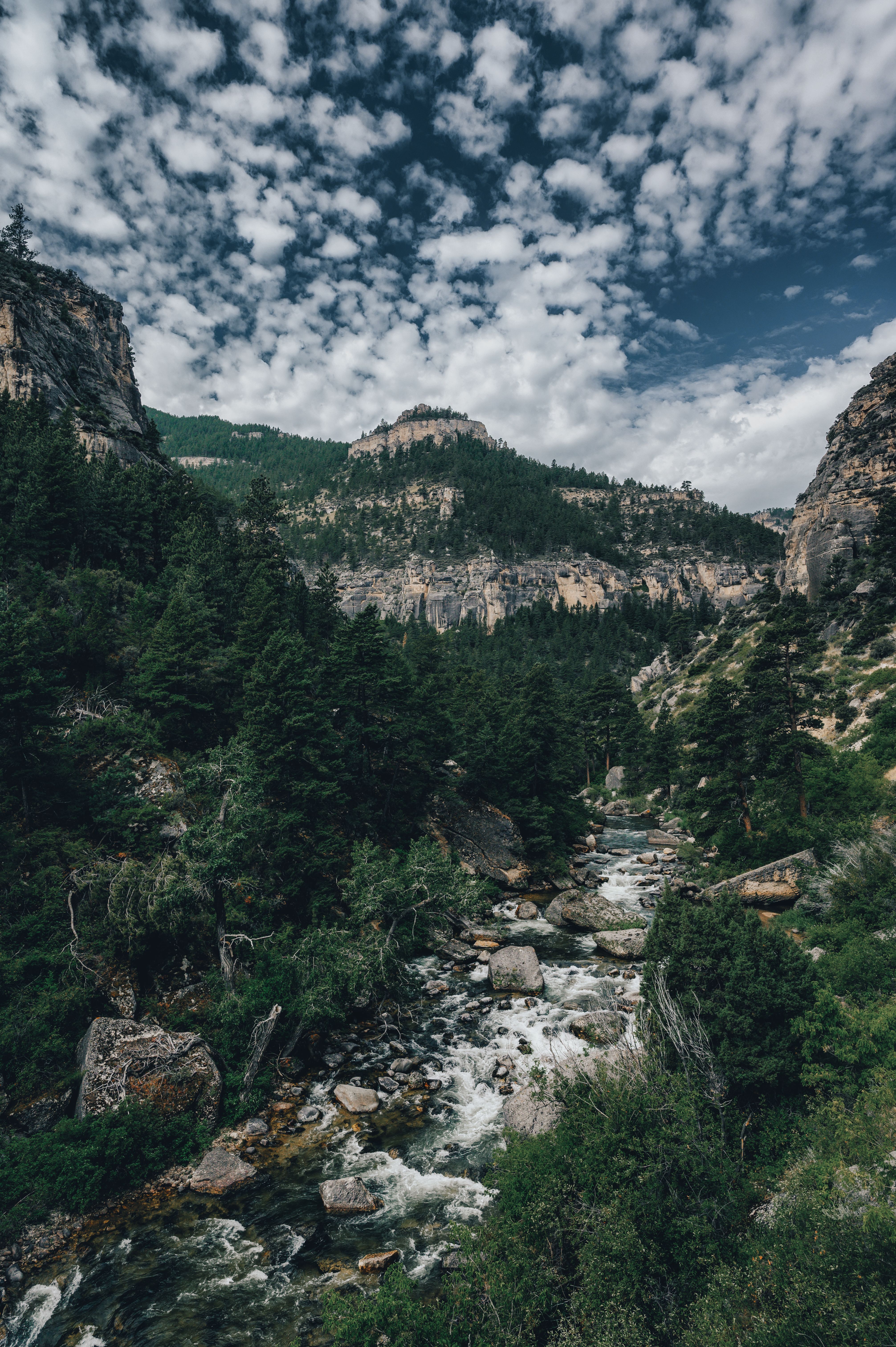Green Trees on Mountain Under Cloudy Sky · Free Stock Photo