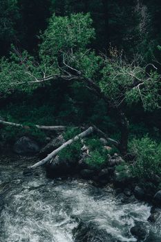 Image by Alfo Medeiros