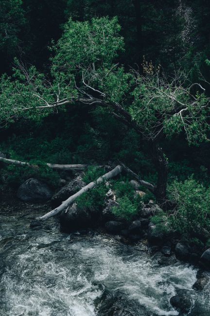 river stream nature