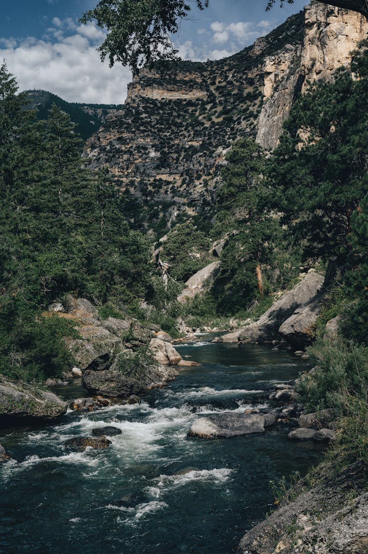 River Flow In The Mountain Valley